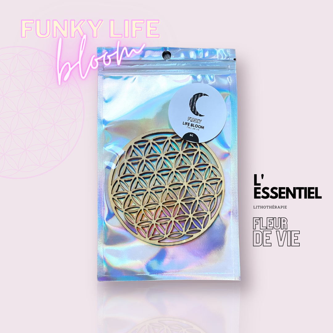 Fleur de vie ✨