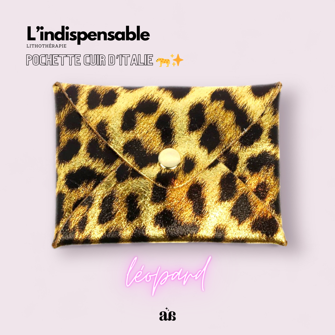 Pochette en cuir 🐆✨