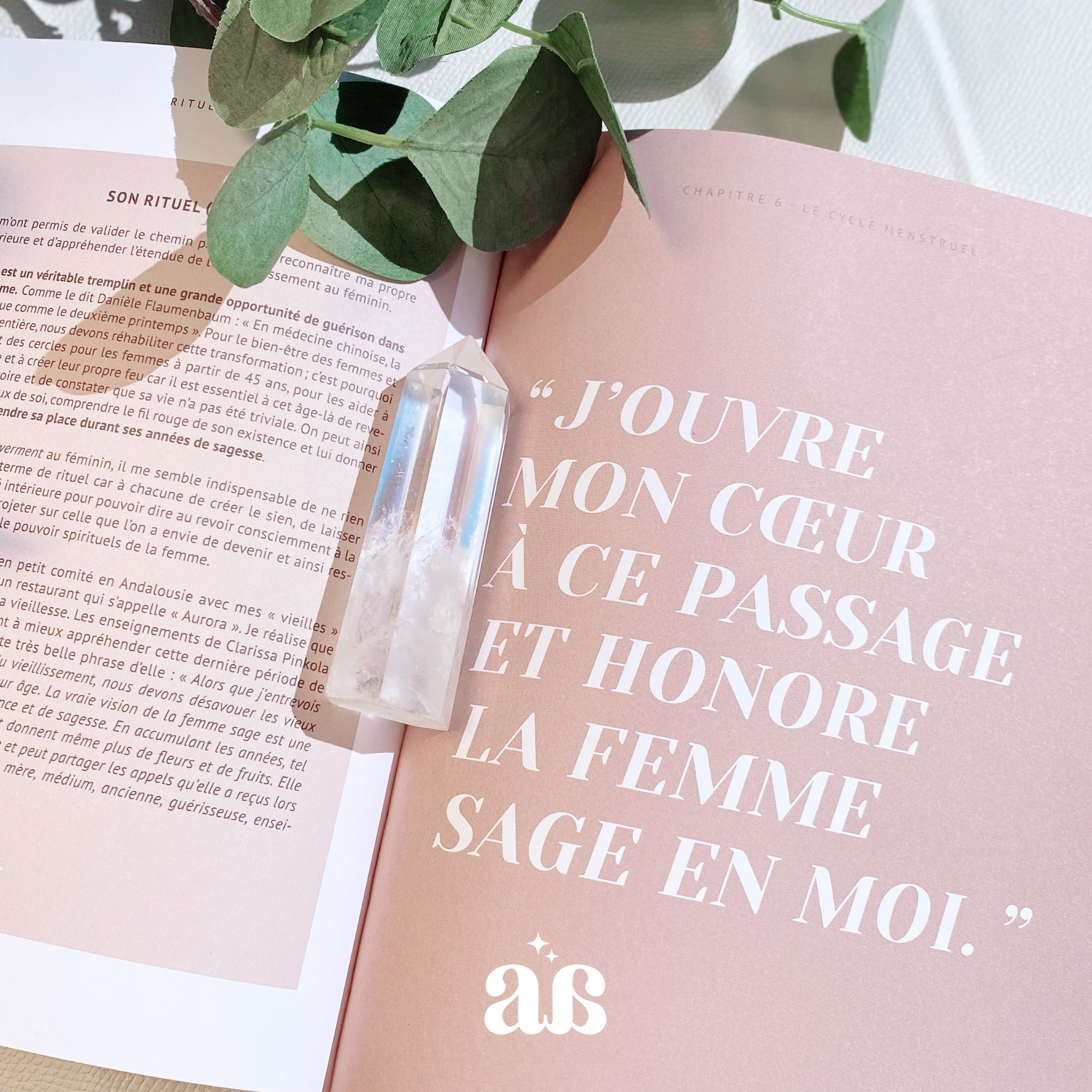 Pointe de Cristal de Roche 💎✨